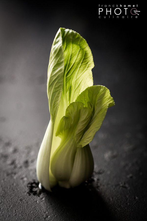 Veggie Patch Splendor: Heirloom Harvest Collection